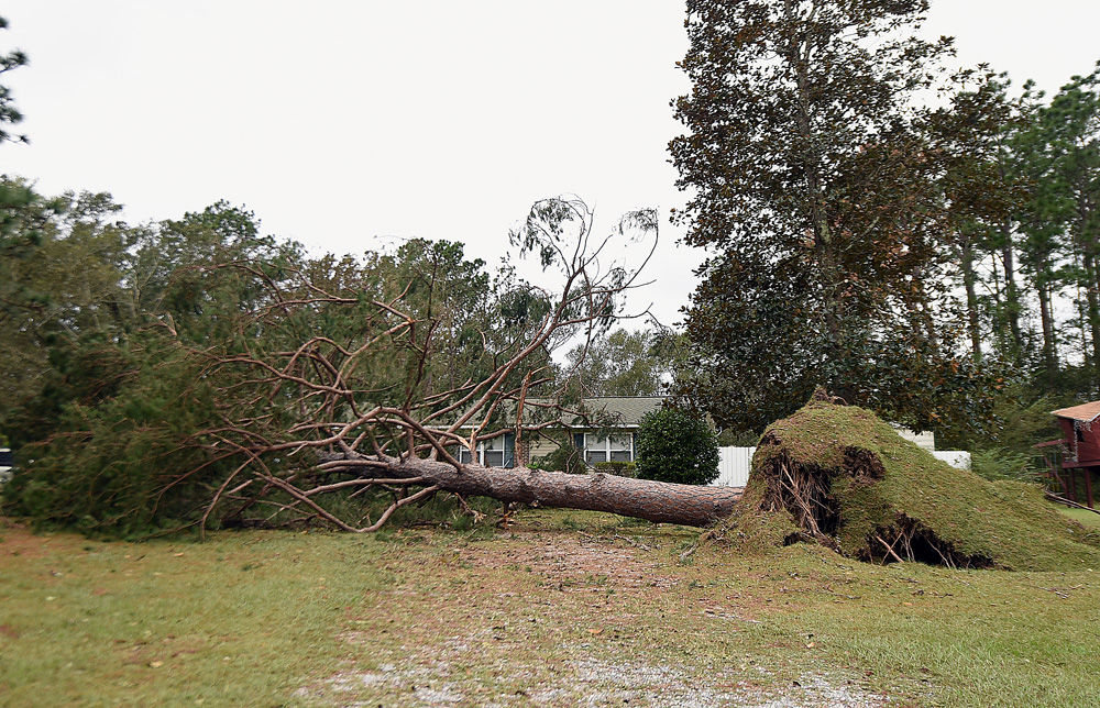 Hurricane Michael aftermath